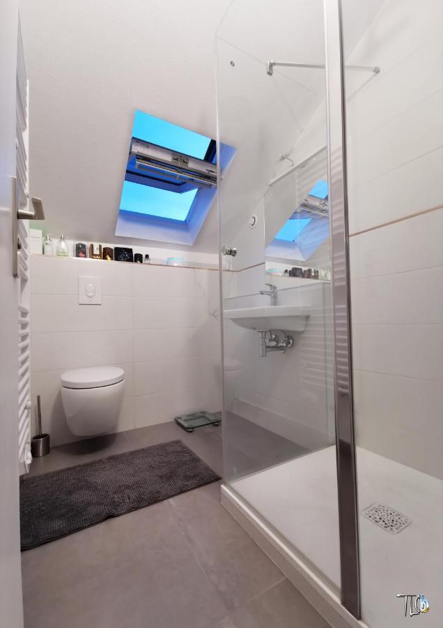 "Le Loft B Bg " Appartement Avec Terrasse G Friendly 斯特拉斯堡 外观 照片