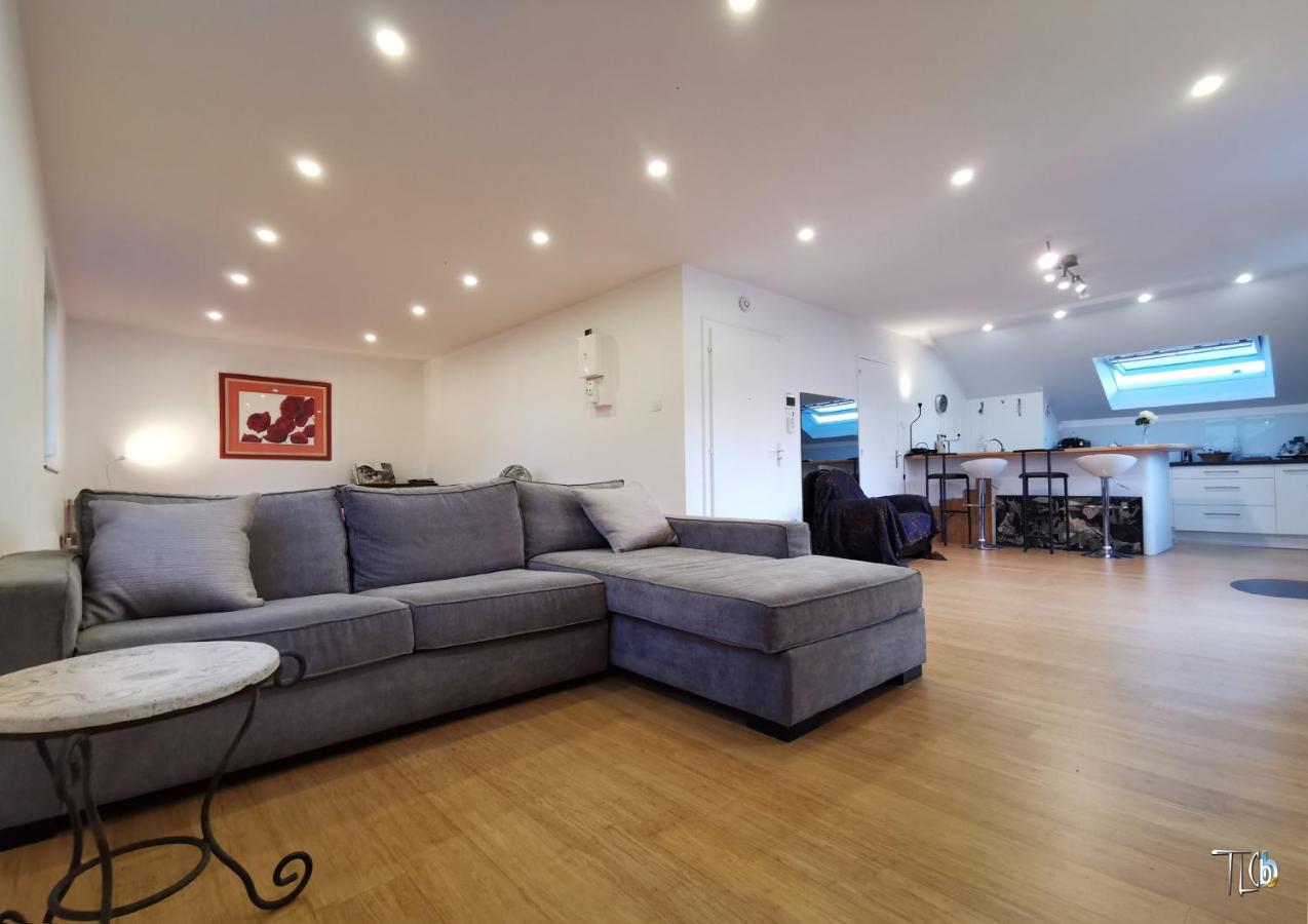 "Le Loft B Bg " Appartement Avec Terrasse G Friendly 斯特拉斯堡 外观 照片