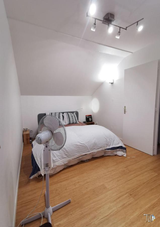 "Le Loft B Bg " Appartement Avec Terrasse G Friendly 斯特拉斯堡 外观 照片