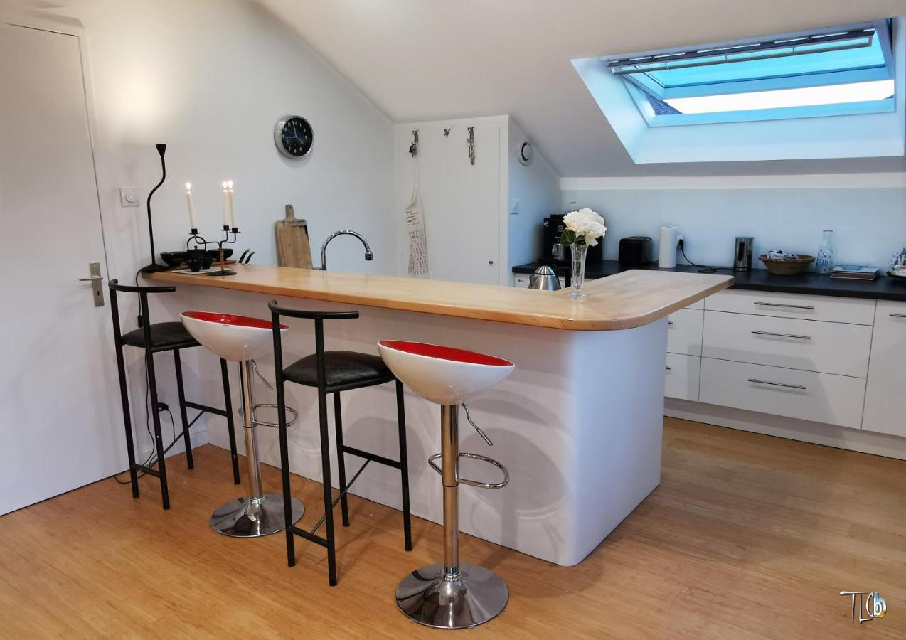 "Le Loft B Bg " Appartement Avec Terrasse G Friendly 斯特拉斯堡 外观 照片