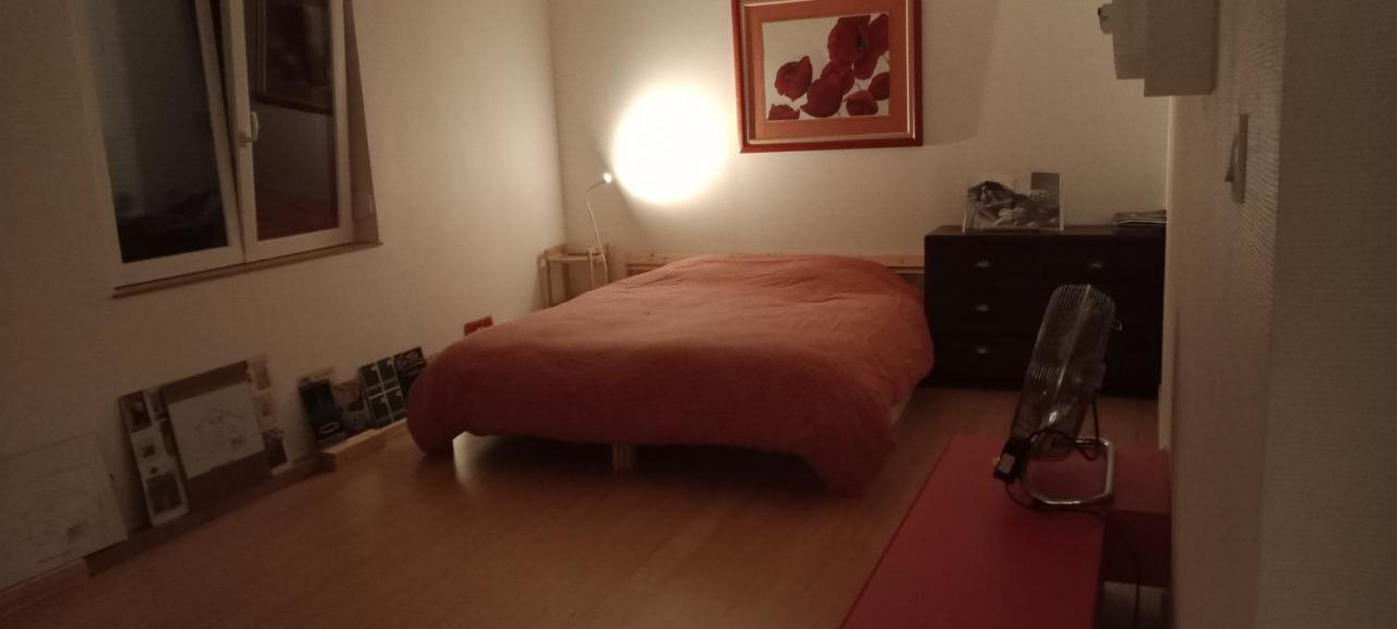 "Le Loft B Bg " Appartement Avec Terrasse G Friendly 斯特拉斯堡 外观 照片